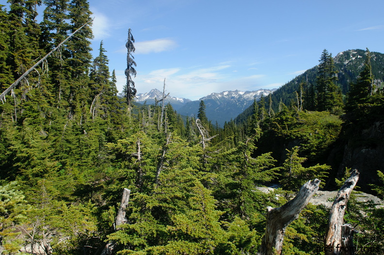 mountains in the distance2011d24c275.jpg